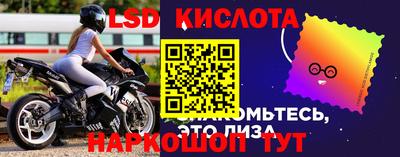 спиды Гусев