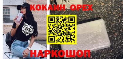 спиды Гусев