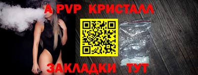спиды Гусев