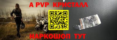 спиды Гусев
