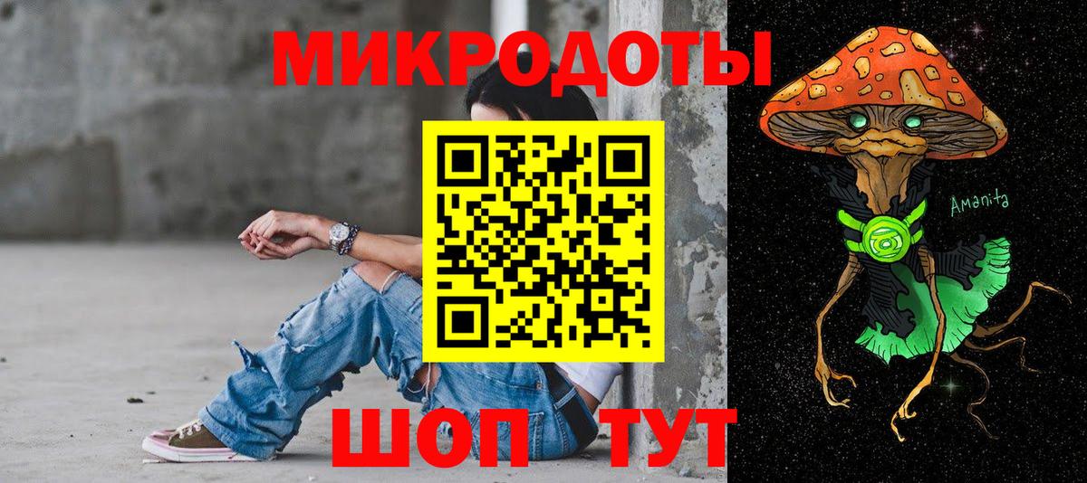 Псилоцибиновые грибы Cubensis Орёл