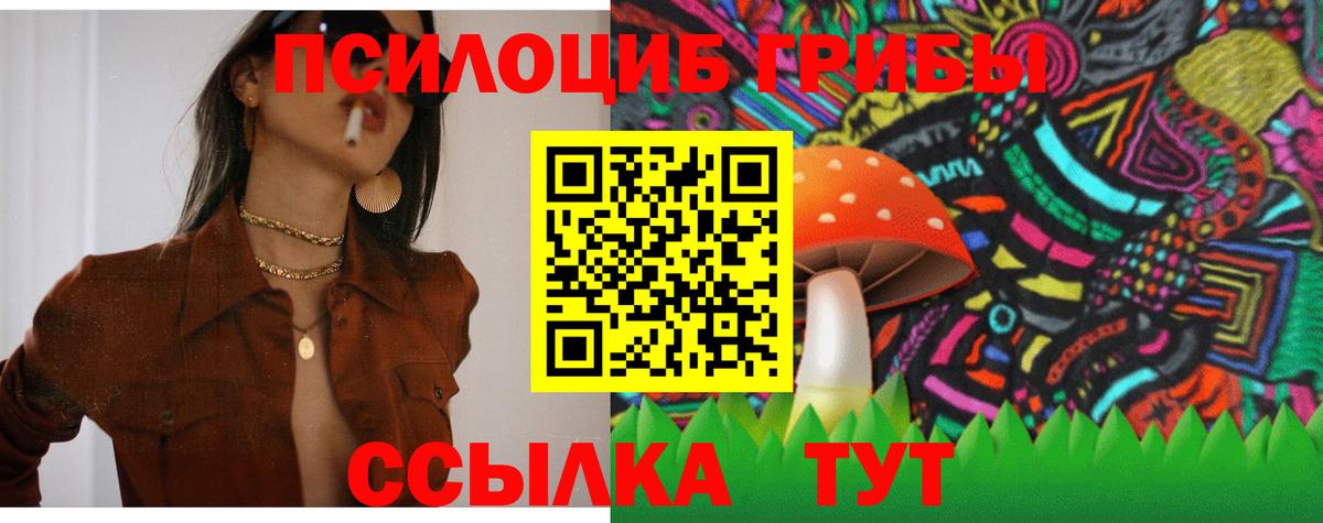 Псилоцибиновые грибы мицелий  Вход с VPN  продажа наркотиков  Орёл  Псилоцибиновые грибы GOLDEN TEACHER 